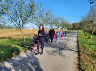 Náhodná fotogalerie