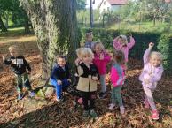 Náhodná fotogalerie