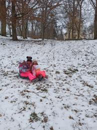 Náhodná fotogalerie